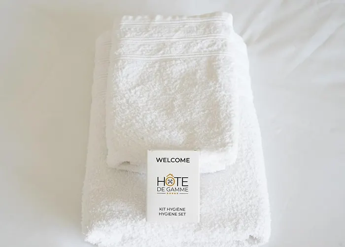 Appartement Joli Dans Le Centre Des Herbiers